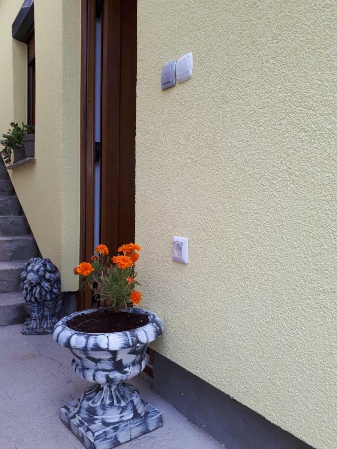 Apartment Dujica Сен Екстериор снимка